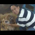 Michigan State Fair 2009