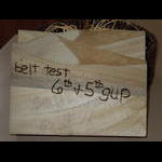 blue belt test 12-13-2011