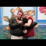 Our Foster's New Families