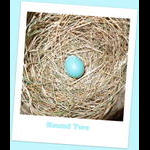 Second Set Of Robins