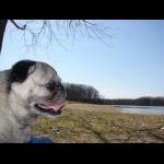 Lexie Lynn April 21, 2007