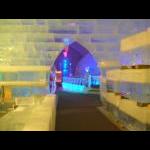 Alaska Trip April-May 2009