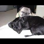 Hannah Marie  April 13, 2009